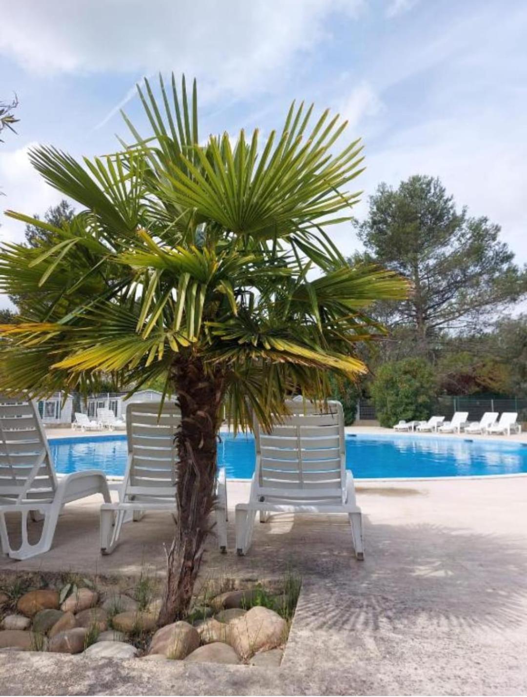 Mobil Home Tout Confort 6 Personnes Climatise Au Pied Du Luberon 拉罗克当泰龙 外观 照片